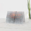 Search for sunrise christmas cards Winter