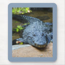 Search for crocodiles mousepads Reptile