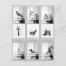 Search for bathroom postcards Dog