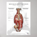 Search for anatomy art Therapy