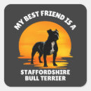 Search for bull terrier stickers Staffie