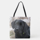 Search for black lab bags Labrador retriever