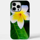 Search for plumeria flowers iphone cases Frangipani