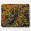 Search for big tree mousepads Forest