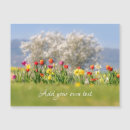 Search for spring landscape cards Colourful