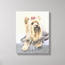 Search for yorkshire terrier canvas prints Yorkie