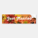 Search for daisy picture bumper stickers Colourful