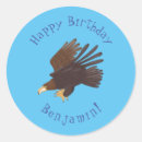 Search for falconry stickers Falconer