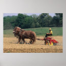 Search for model release posters Farming