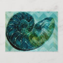 Search for seashell decor postcards Ocean