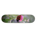 Search for bug skateboards Nature