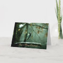 Search for woodpecker christmas cards Winter