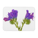 Search for cutouts magnets Natural world