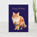 Search for ginger cat birthday cards Orange