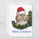 Search for shih tzu cards Animals