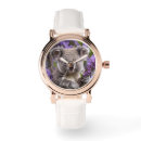 Search for koala watches Bear