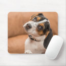 Search for beagle mousepads Hound