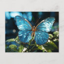 Search for pretty blue butterflies postcards Flowers