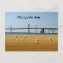 Search for chesapeake bay bridge Water