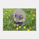Search for raccoon doormats Wildlife