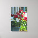 Search for geranium canvas prints Pink