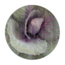 Search for cabbage photography Vegetable