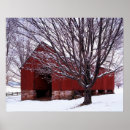 Search for maples posters Snow