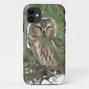 Search for saw shell Bird