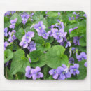 Search for gardeners electronics Nature