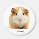Search for non profit magnets Pets