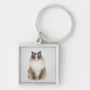 Search for big cats key rings Animal