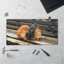 Search for sleeping cat electronics Cute