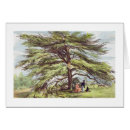 Search for kew gardens postcards George