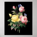 Search for roses on black background posters For her