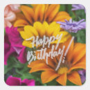 Search for vibrant stickers Elegant