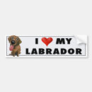 Search for chocolate lab bumper stickers Puppy
