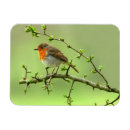 Search for breasted magnets Animal