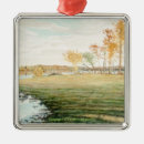 Search for swamp christmas tree decorations Nature