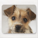 Search for cani mousepads Animals