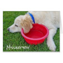 Search for sad dog Pet