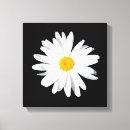Search for daisy pictures canvas prints White