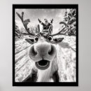 Search for reindeer posters Holiday special offer