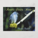 Search for mountain birds postcards Idaho