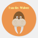 Search for walrus stickers Animal