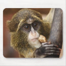 Search for monkey pic mousepads Primates