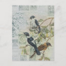 Search for ephemera postcards Bird