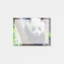 Search for giant post it notes Bear