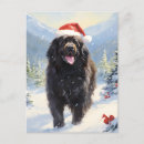 Search for newfoundland dog postcards Winter