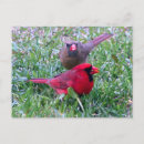 Search for mate postcards Valentine