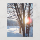 Search for winter design postcards Nature